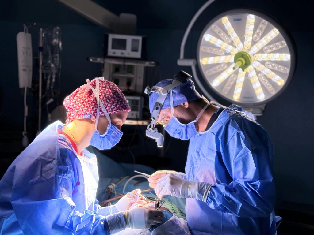 Cardiac Surgeon